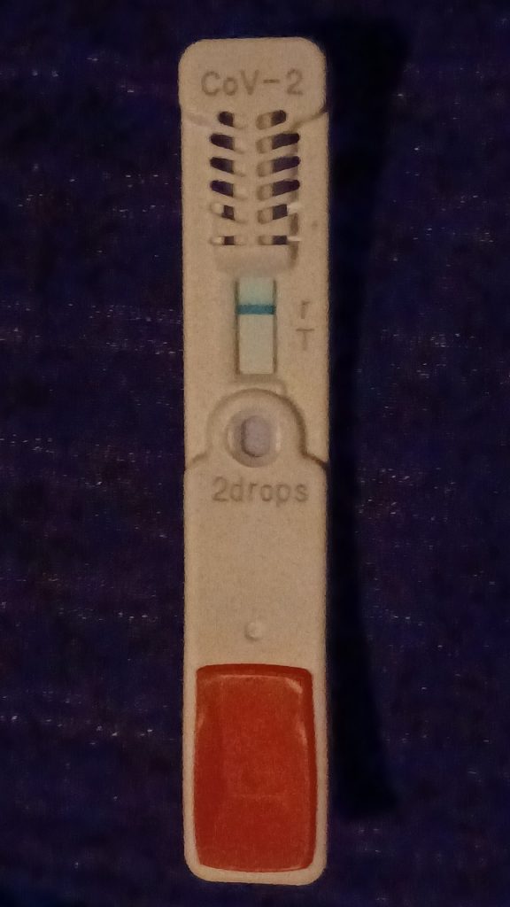 飛騨高山2022_抗原検査