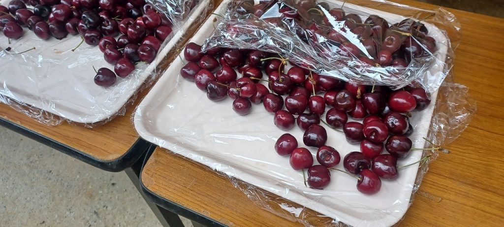 飛騨高山2022_チェリー